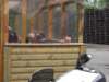 mosel2010_096_small.jpg