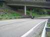 mosel2010_112_small.jpg