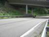 mosel2010_121_small.jpg